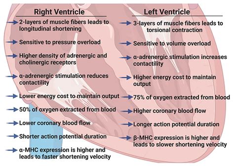 Right Versus Left Ventricular Failure 